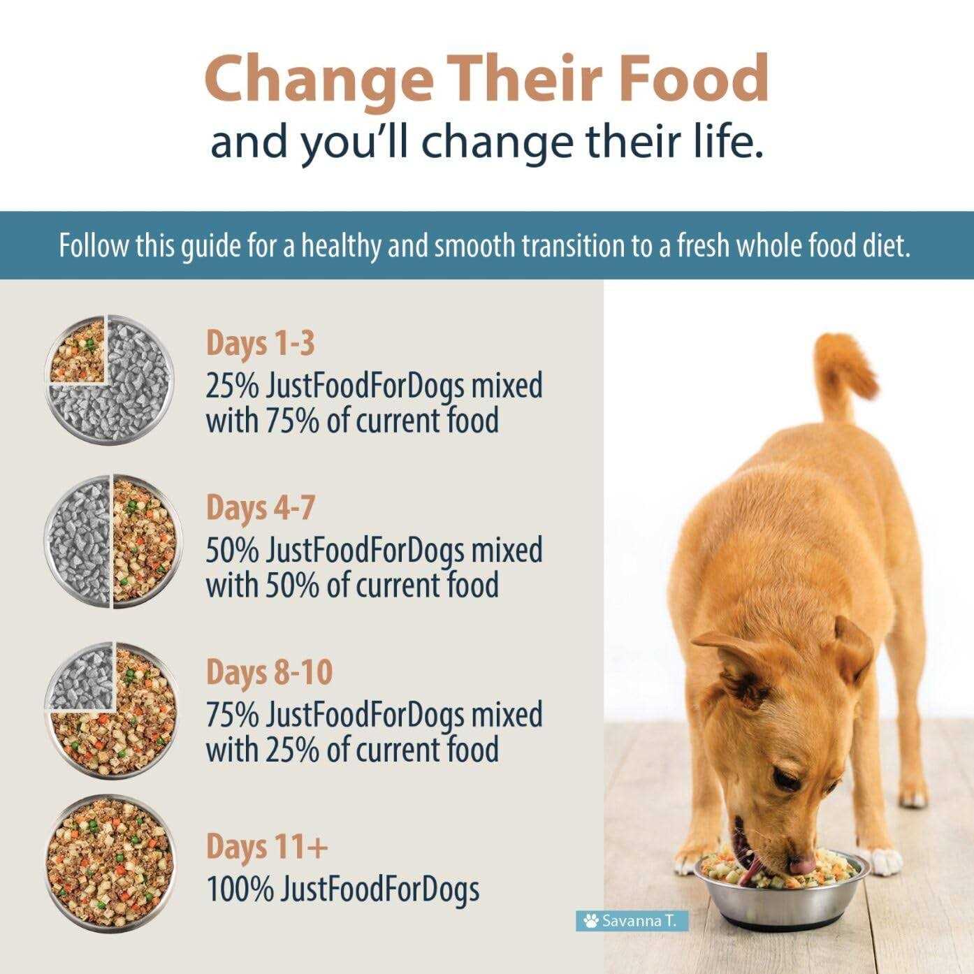 JustFoodForDogs Renal Support Low Protein Diet
