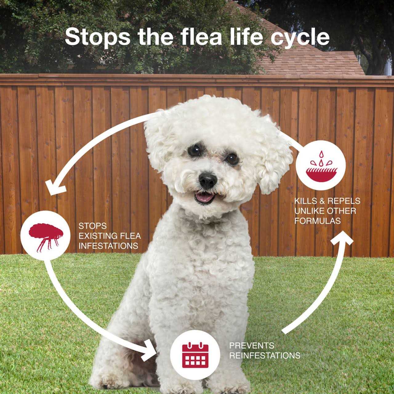 Bayer K9 Advantix II for Extra Large Dogs