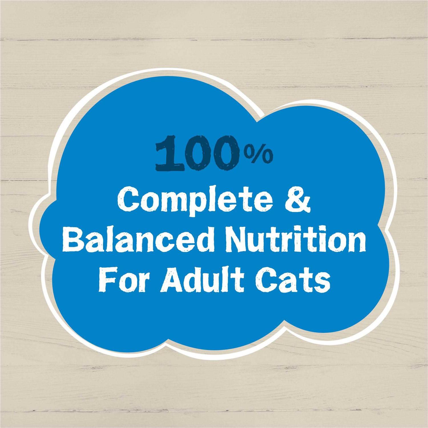 Purina Friskies Wet Cat Food Ocean Favorites