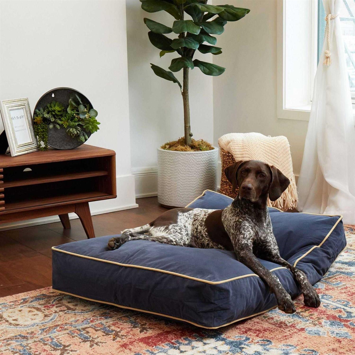 Happy Hounds Bailey Rectangle Pillow Dog Bed w/ Removable COVER