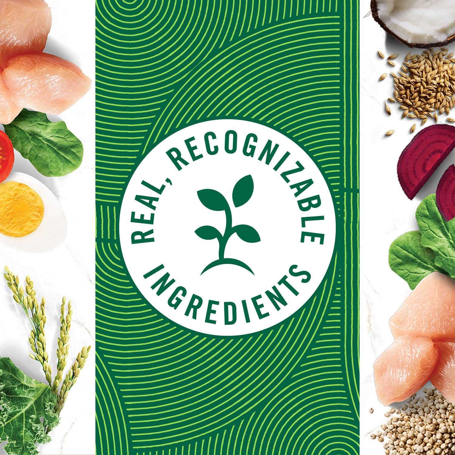 Nutro Natural Choice Small Breed Chicken & Brown Rice Adult Dog Food