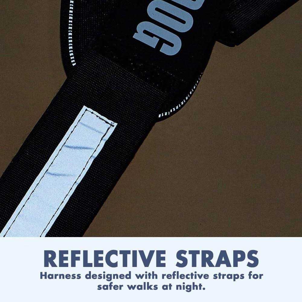 PawPawify Lifetime Warranty Personalized Easy-On No Pull Dog Harness