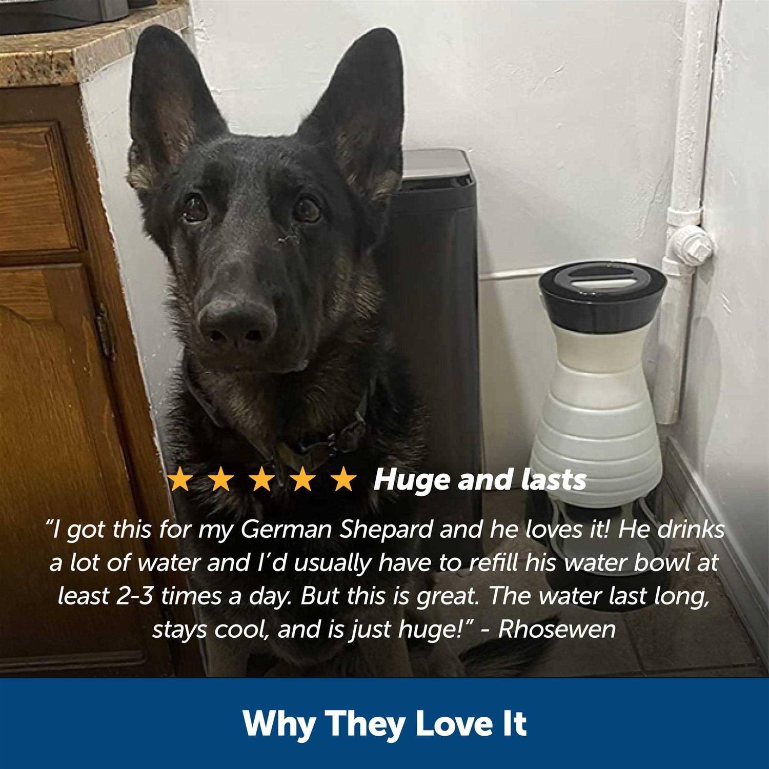 PetSafe Healthy Pet Water Station