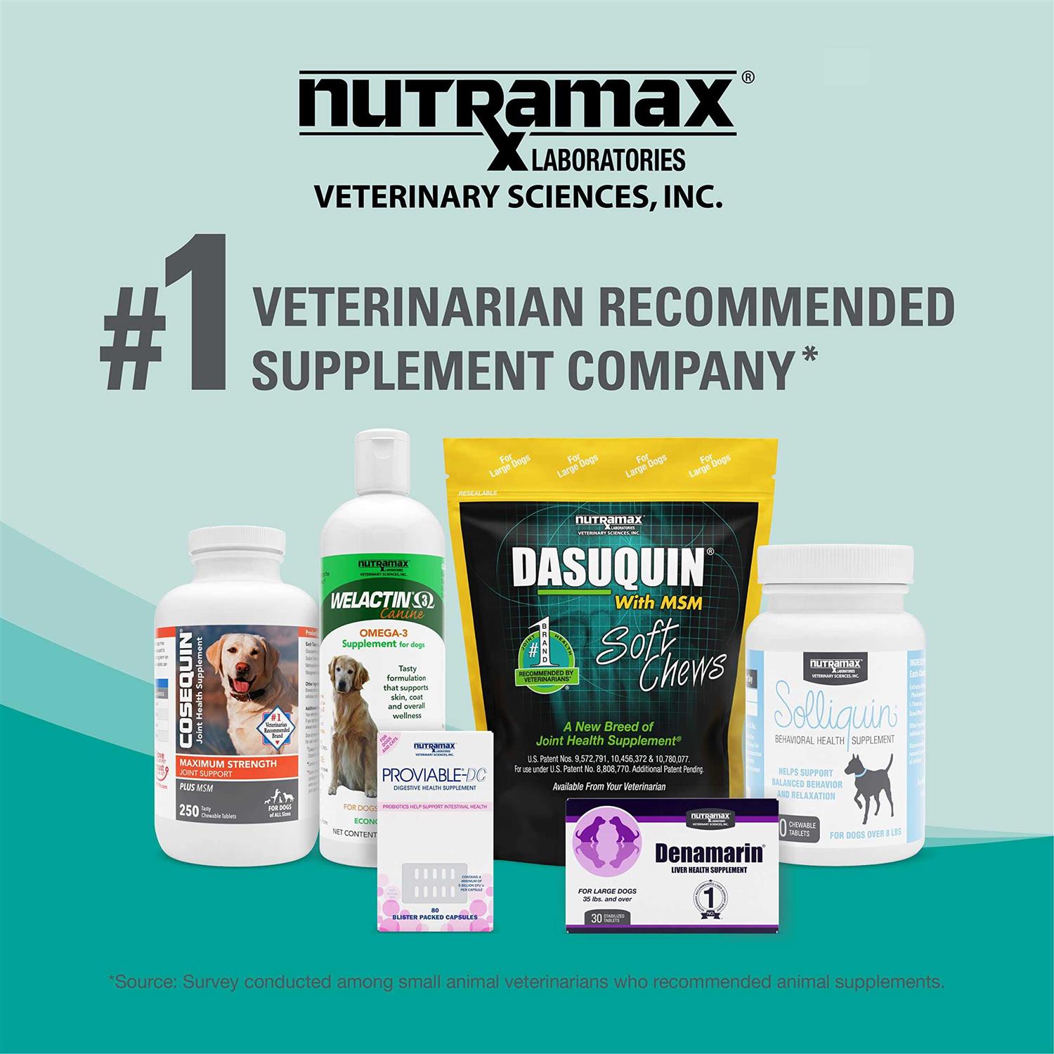 Nutramax Dasuquin with MSM Joint Health Supplement Dogs Soft Chews
