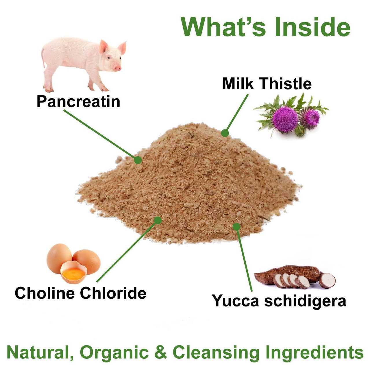 Dogzymes Pancreas Support