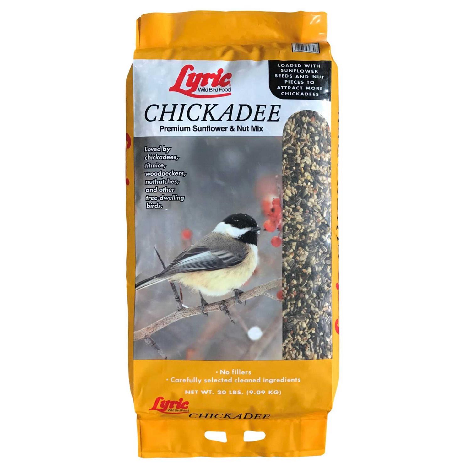 Lyric Chickadee Wild Bird