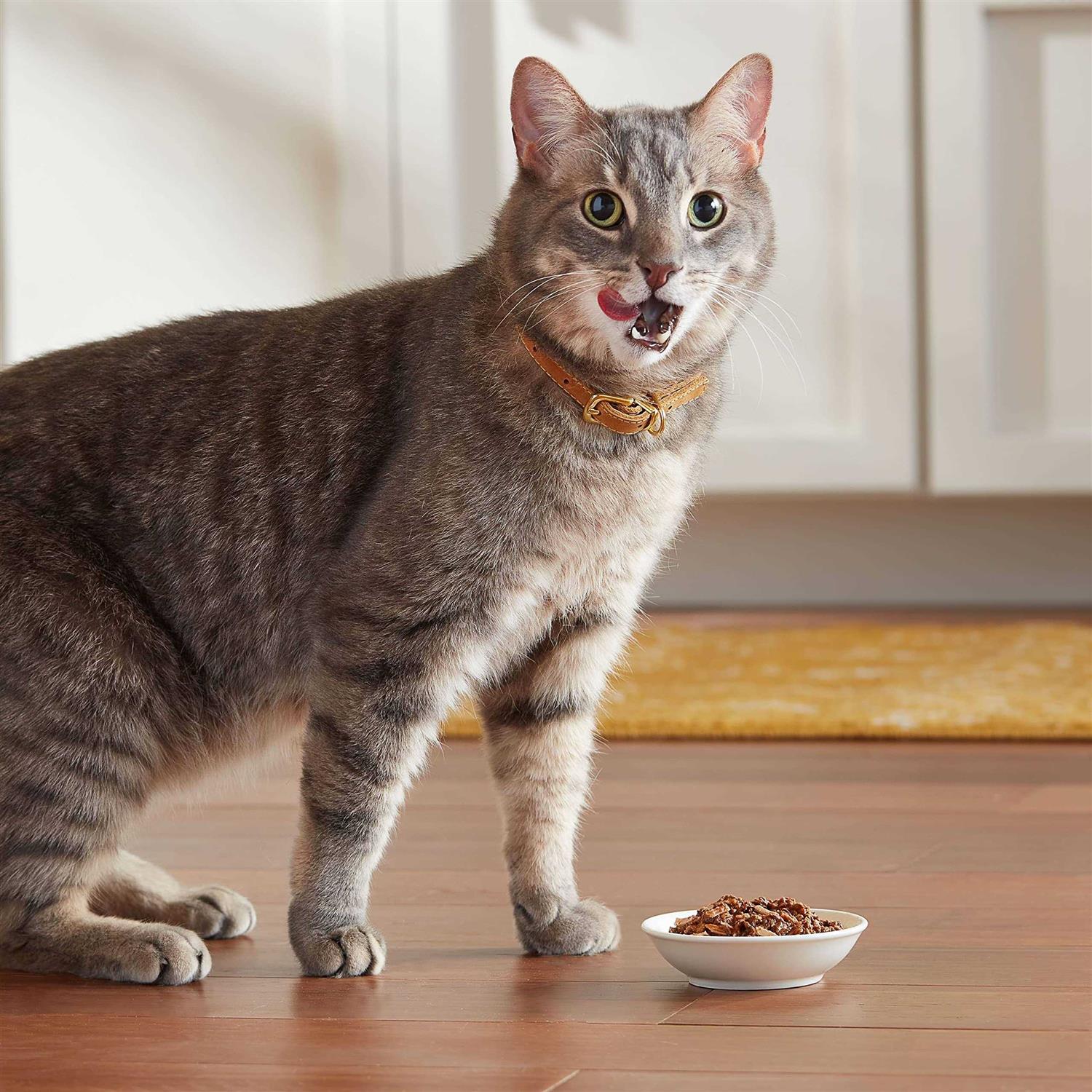 Meow Mix Tender Favorites Wet Cat Food