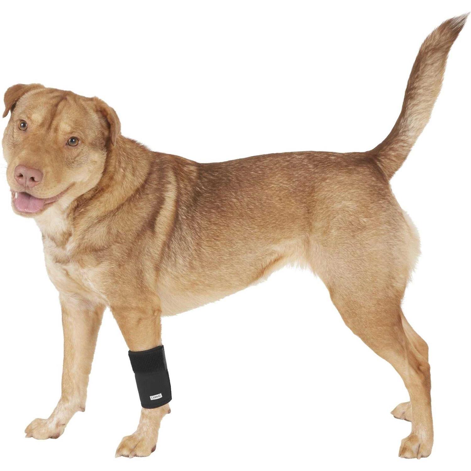 Labra Co. Dog Canine Front Leg Compression Brace Wrap Sleeve Protects Wounds Brace Heals and Prevents Injuries and Sprains Helps with Loss of