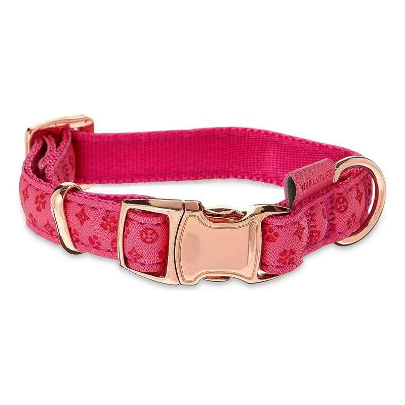 Vibrant Life Embossed Adjustable Dog Collar