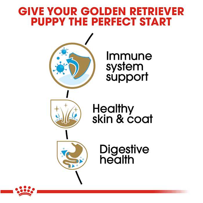 Royal Canin Golden Retriever Puppy Dry Dog Food