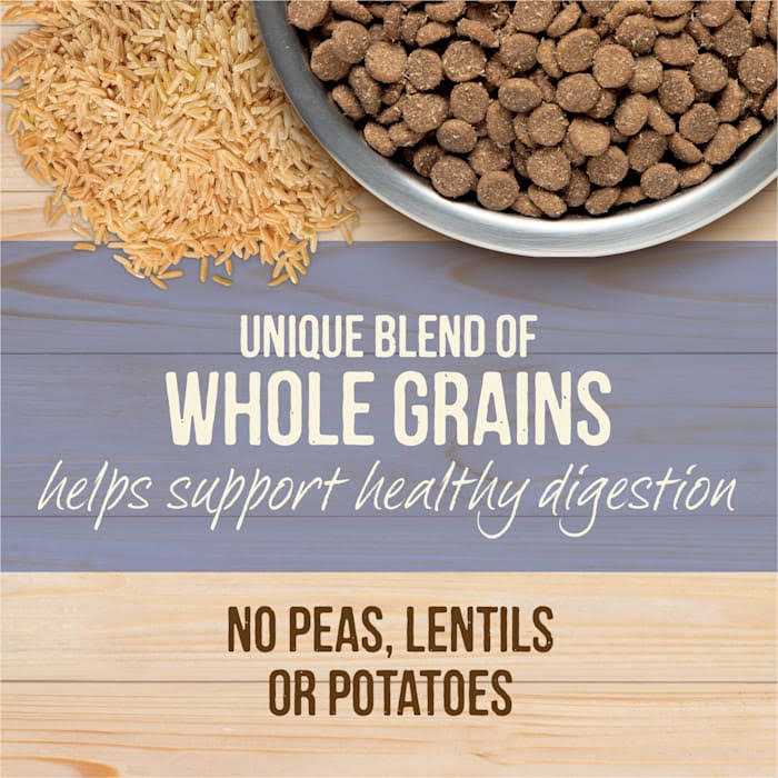 Merrick Healthy Grains Freeze Dried Raw Coated Kibble Dry Dog Food Puppy Recipe