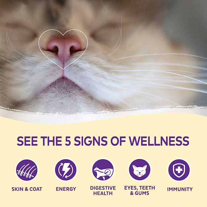 Wellness Kittles Cat Treats