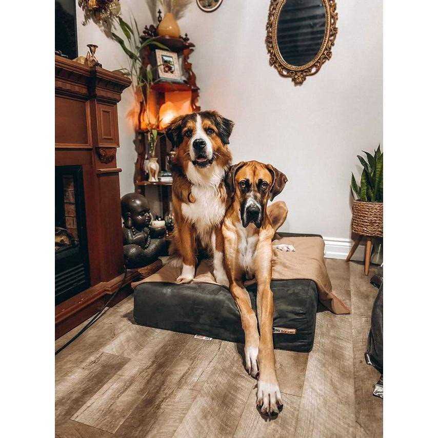 Big Barker Headrest Pillow Top Orthopedic Dog Bed