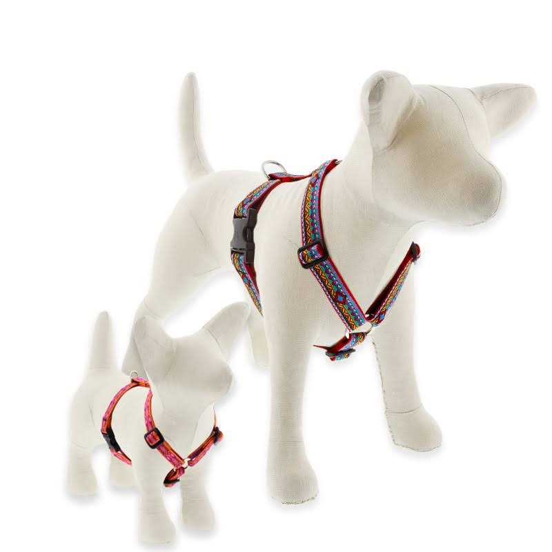 LupinePet Dog Roman Harness
