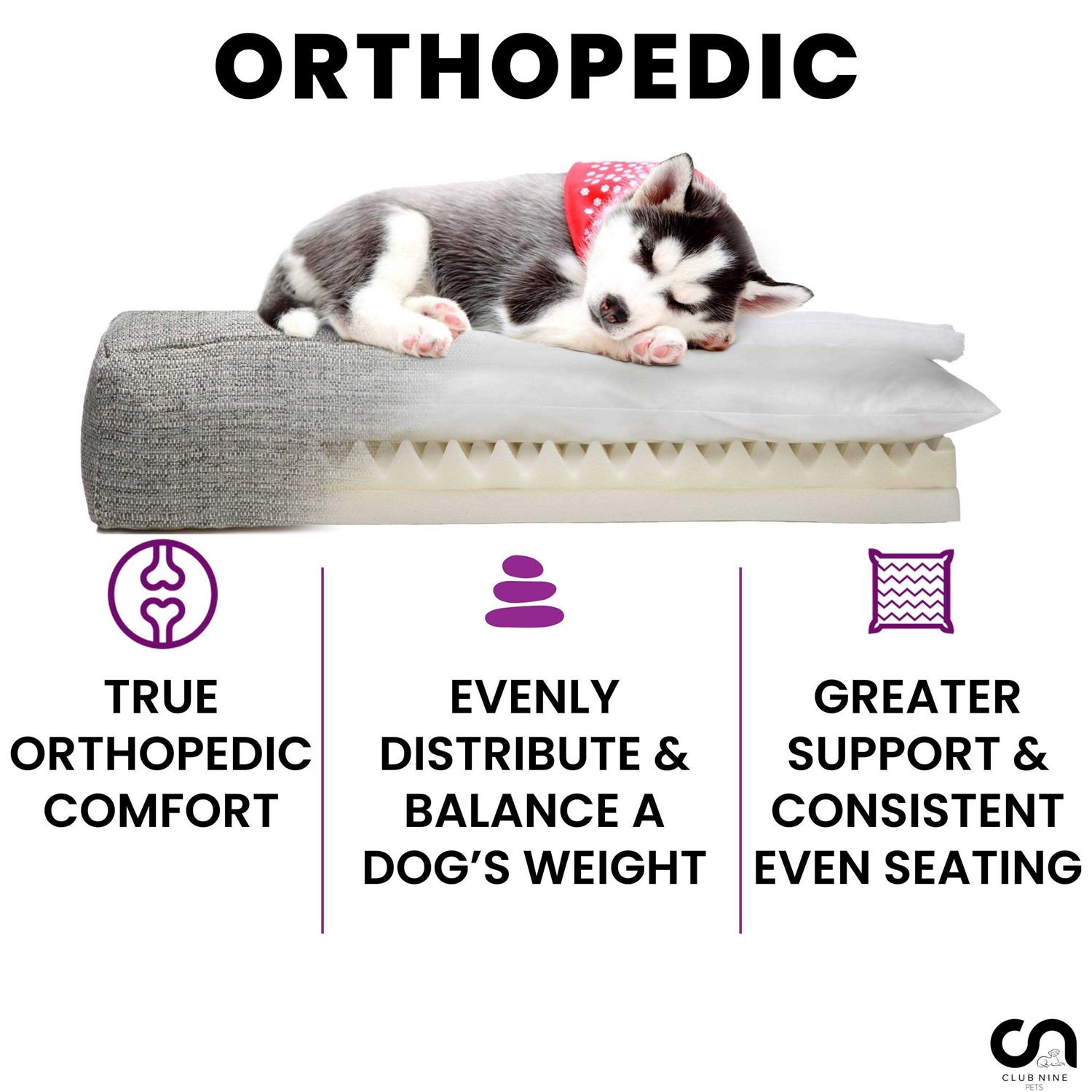 Club Nine Pets Roma Orthopedic Dog Bed