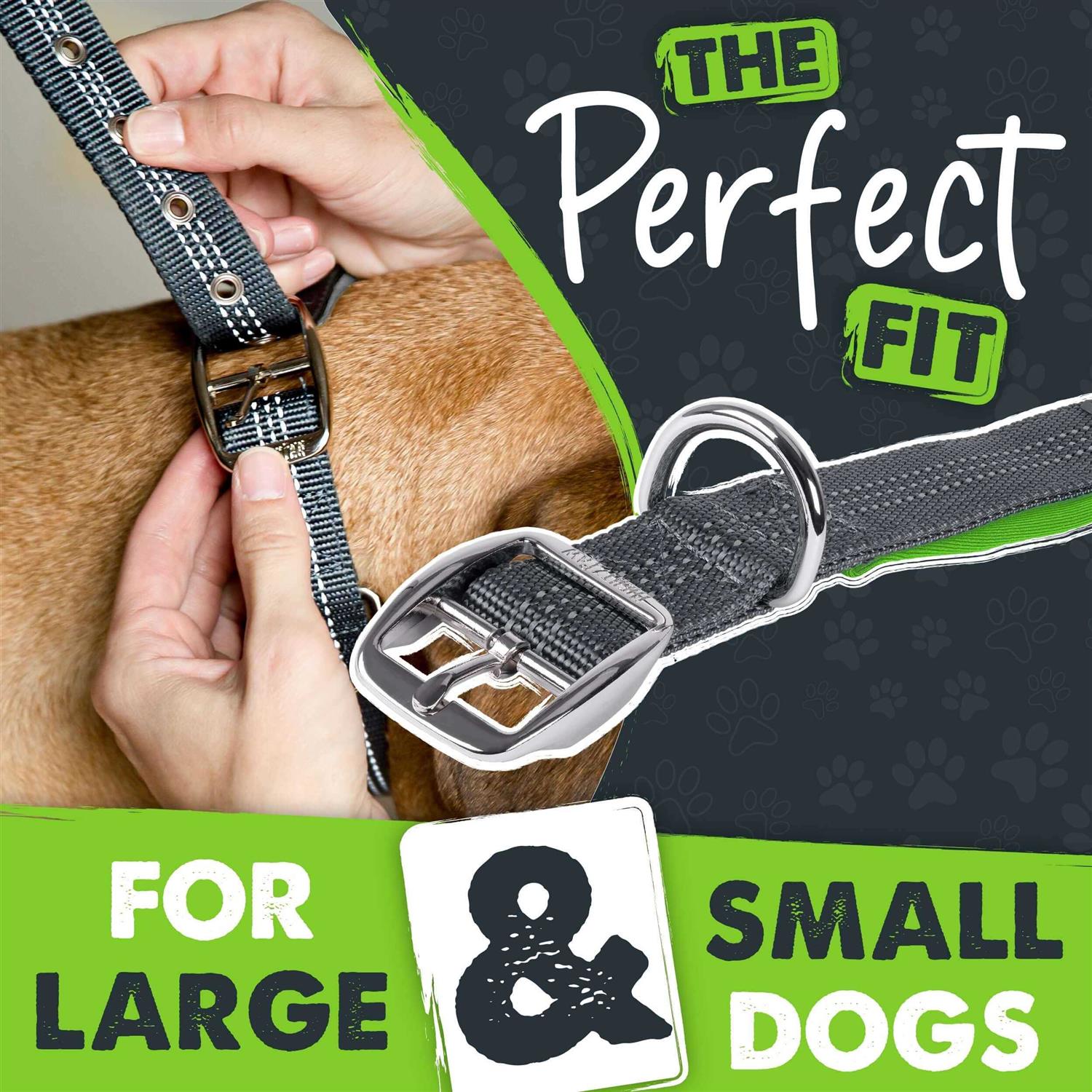 Mighty Paw Sport 2.0 Dog Collar