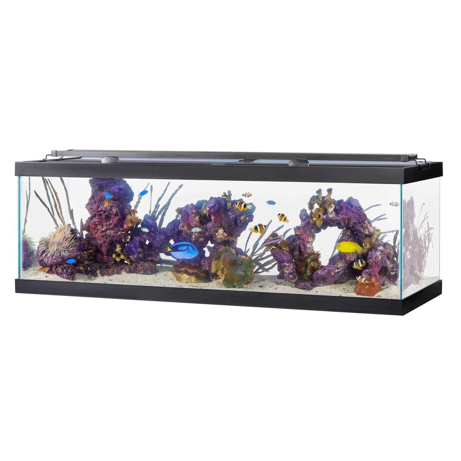 Aqueon Standard Glass Rectangle Aquarium