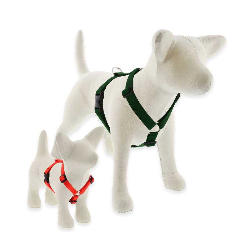 LupinePet Dog Roman Harness