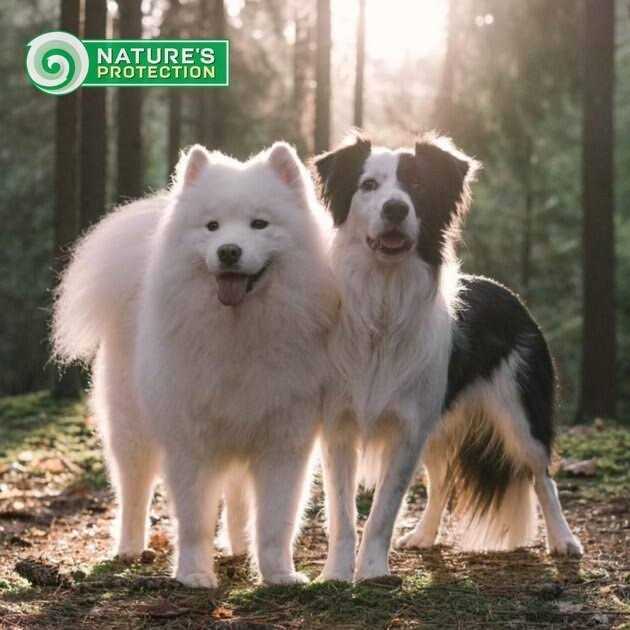 Nature’s Protection Grain Free Superior Care White Dogs Small Breed Adult Dry Dog Food
