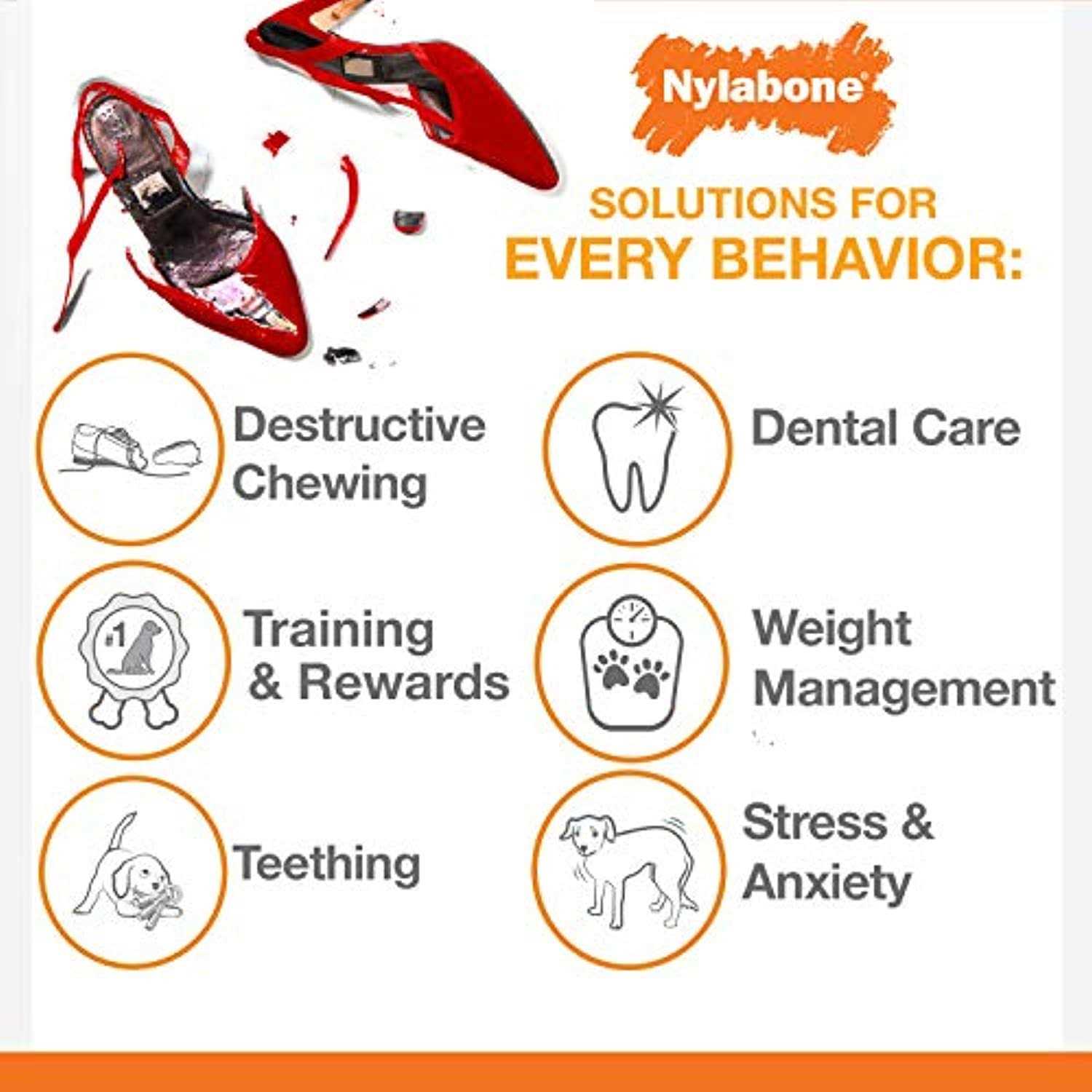 Nylabone Small Dog Value Pack