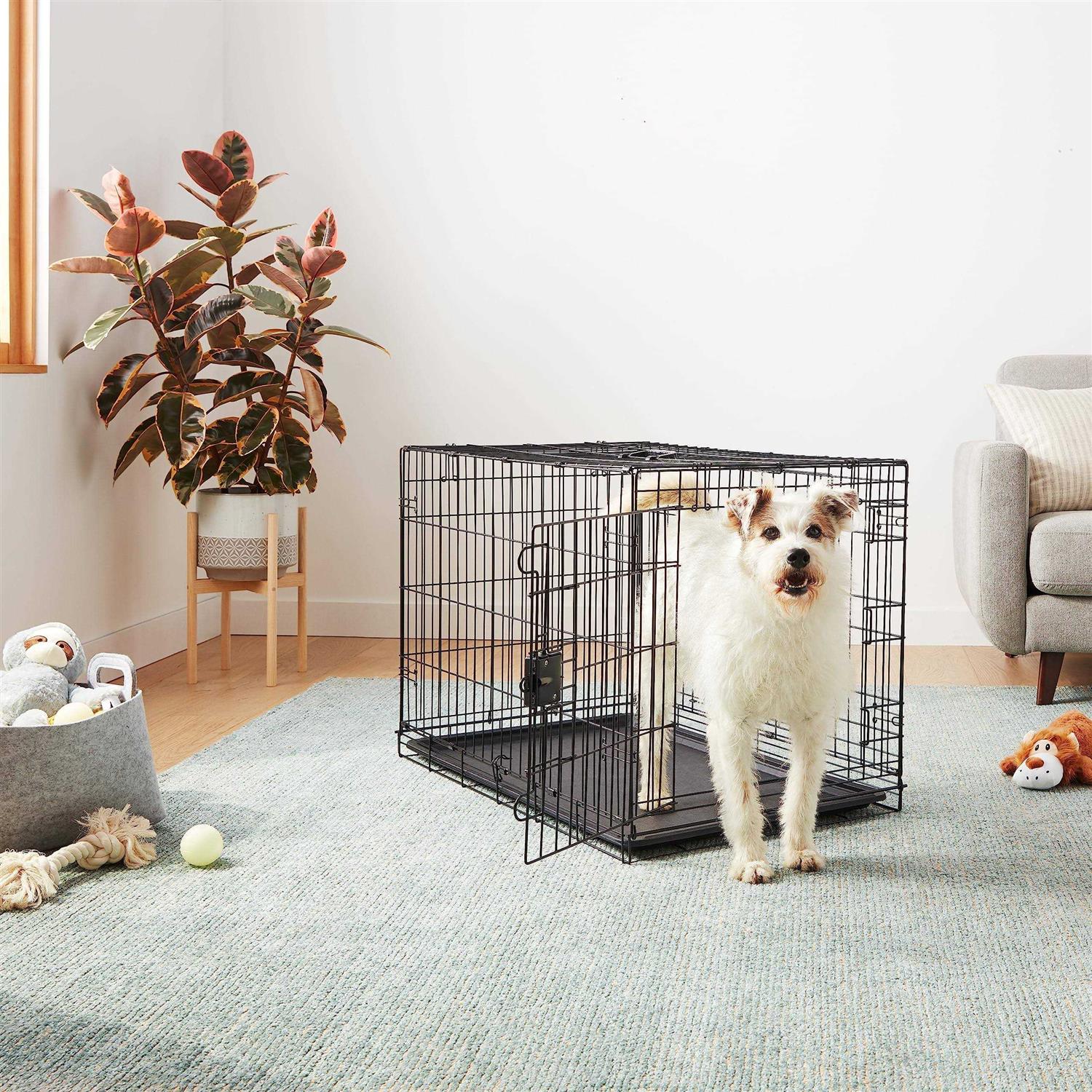 Amazon Basics Foldable Metal Wire Dog Crate with Tray