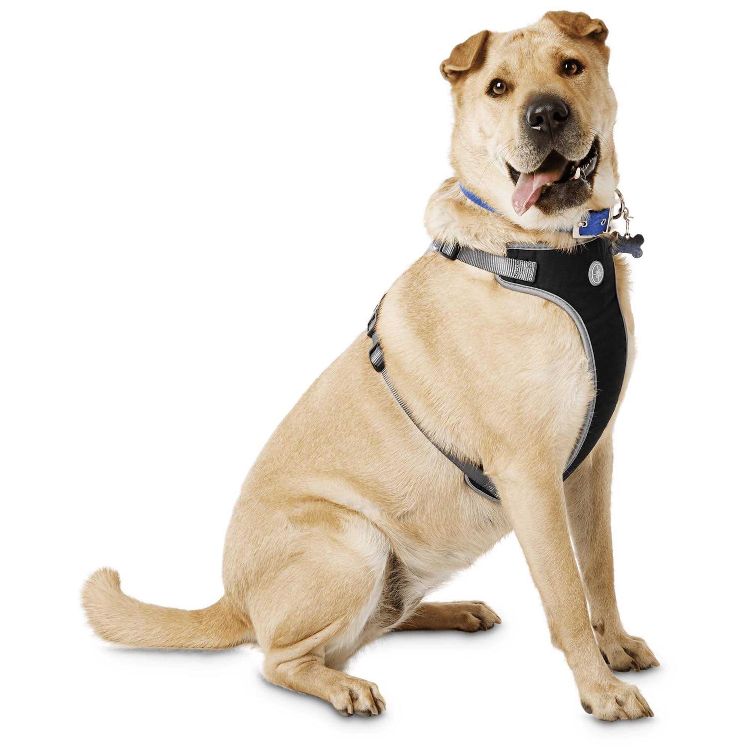 Youly The Classic Black Harness for Large Dog
