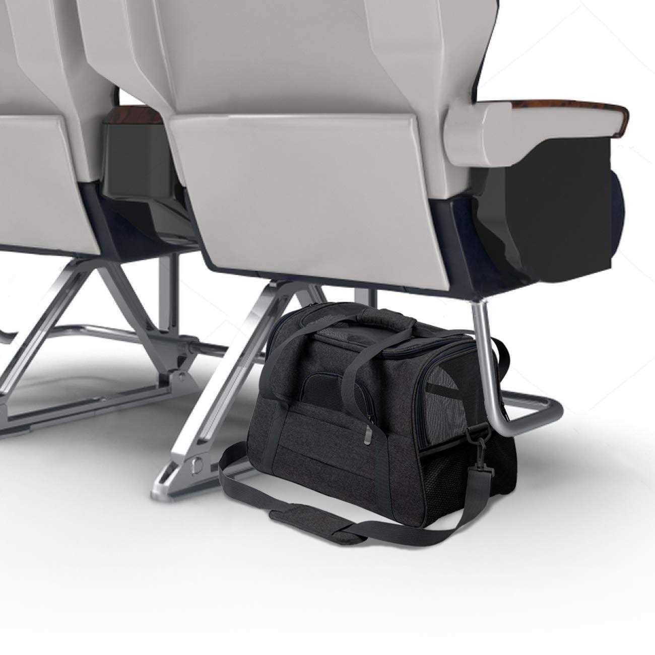 Prodigen Pet Carrier Airline Approved Pet Carrier Dog Carriers for Small Dogs