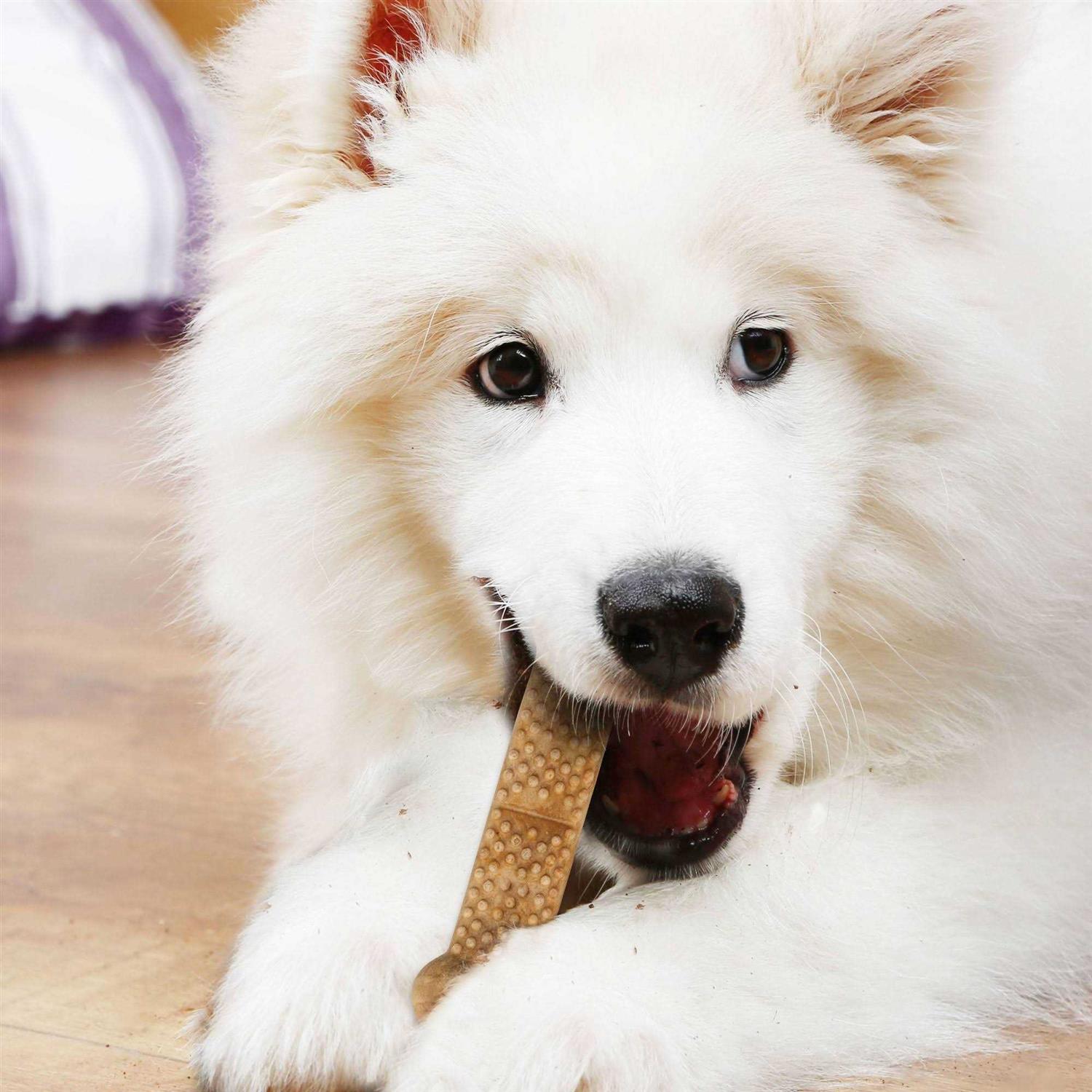 Nylabone Natural Nubz Peanut Butter Flavor Large Dog Chews