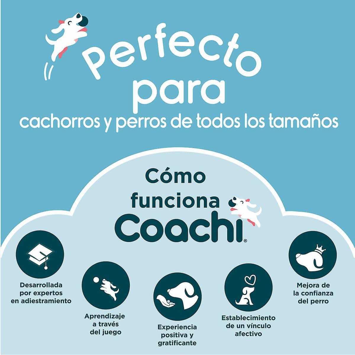 Coachi Fetch & Reward Dog Toy