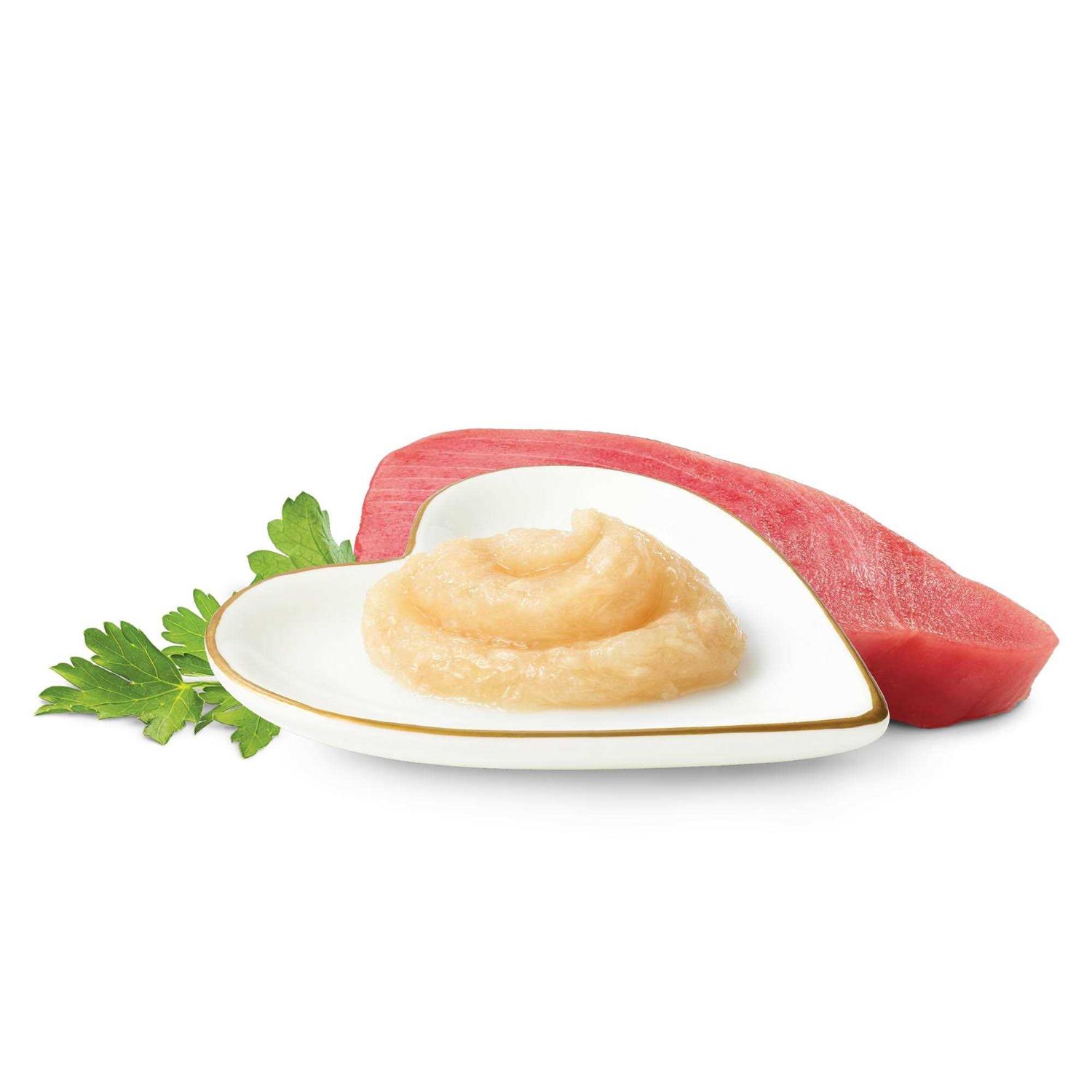 Fancy Feast Squeezable Cat Treats Tube Savory Puree Naturals With Natural Tuna in a Demi-Glace