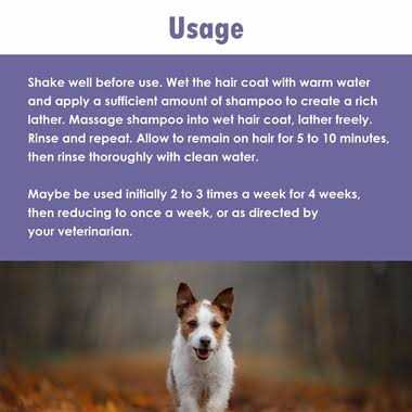 ChloraSeb Antiseptic Dog Shampoo