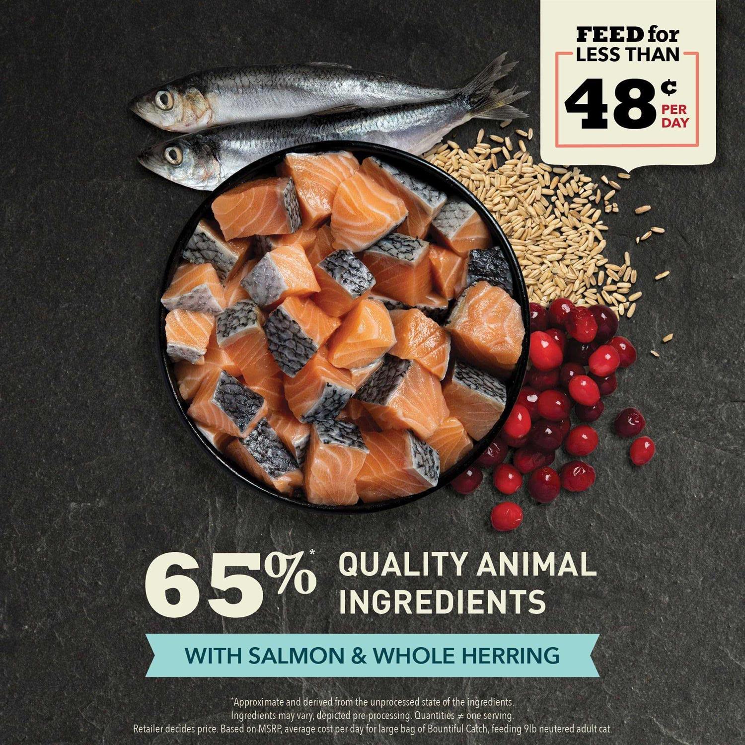 Acana Bountiful Catch Dry Cat Food