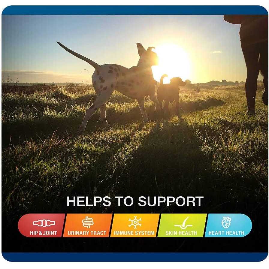 Sergeants VetIQ 5-in-One Multi-Benefit Soft Chews for Dogs