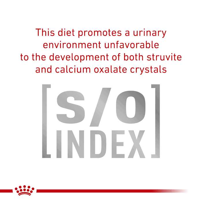 Royal Canin Urinary So in Gel Canned Wet Cat Food