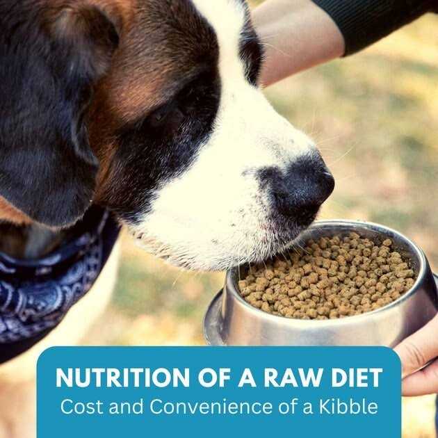 Ketona Chicken Recipe Adult Dry Dog Food Natural Low Carb High Protein