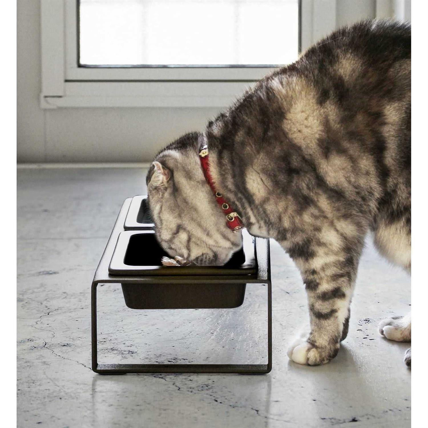 Yamazaki Home Pet Food Bowl