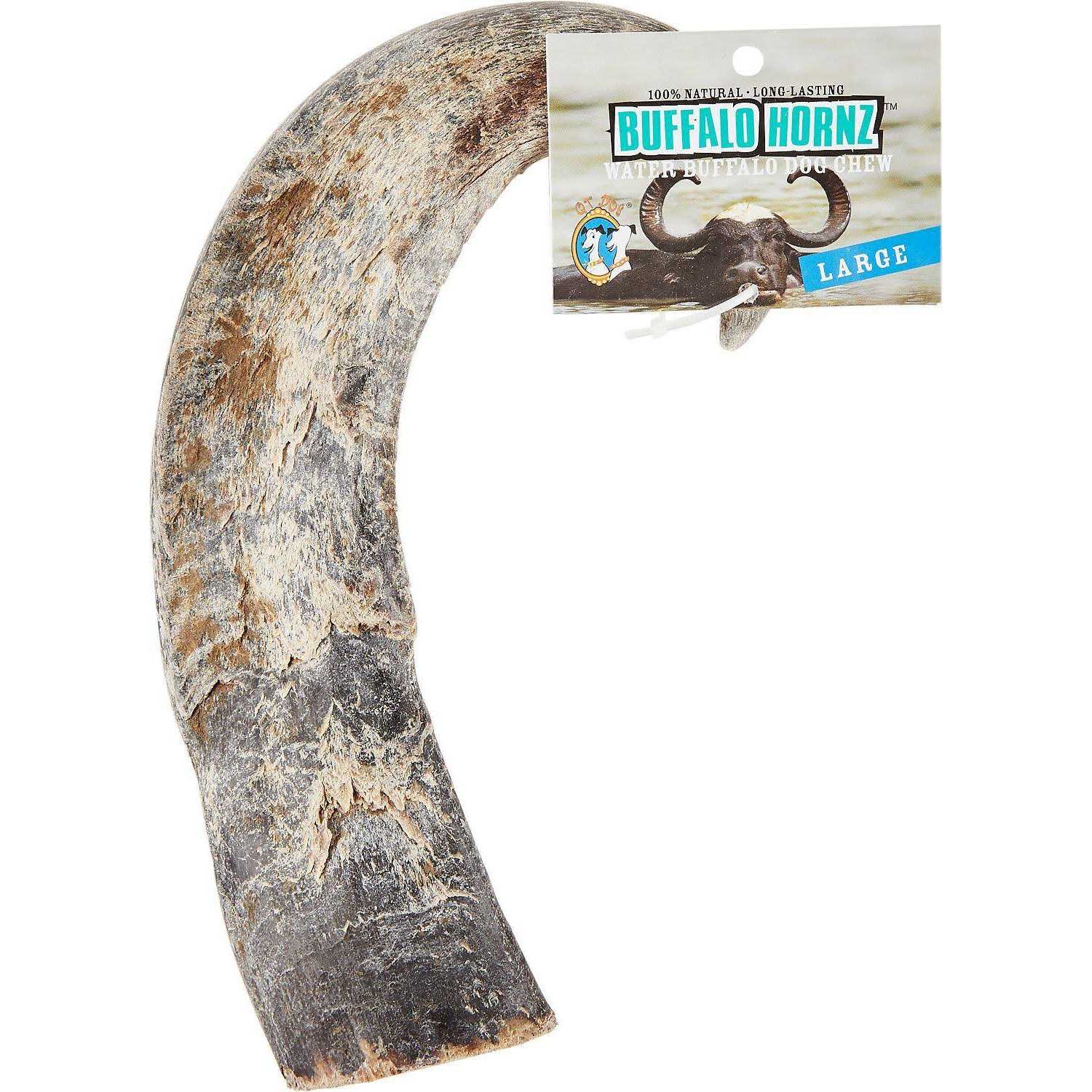 QT Dog Water Buffalo Horn Small