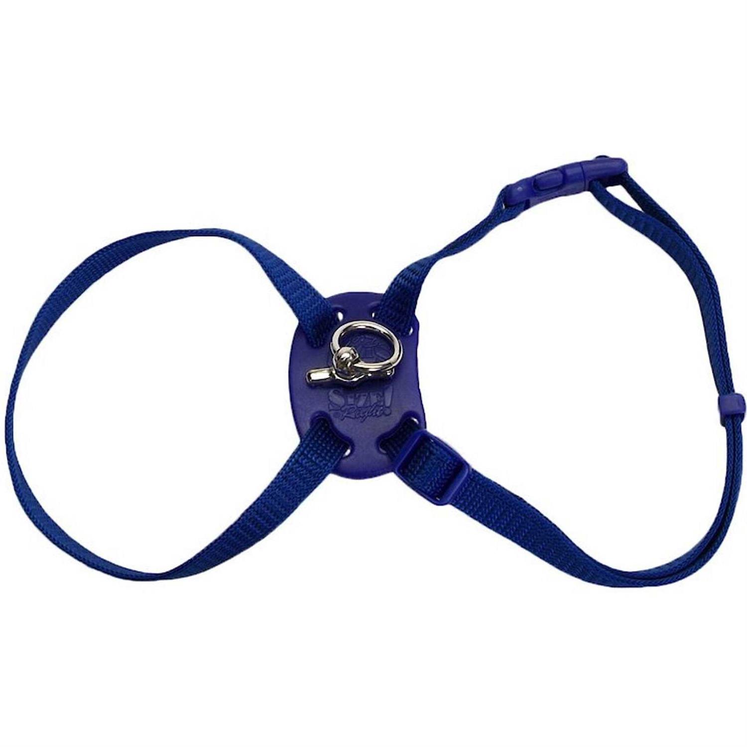 Coastal Pet Size Right Adjustable Cat Harness