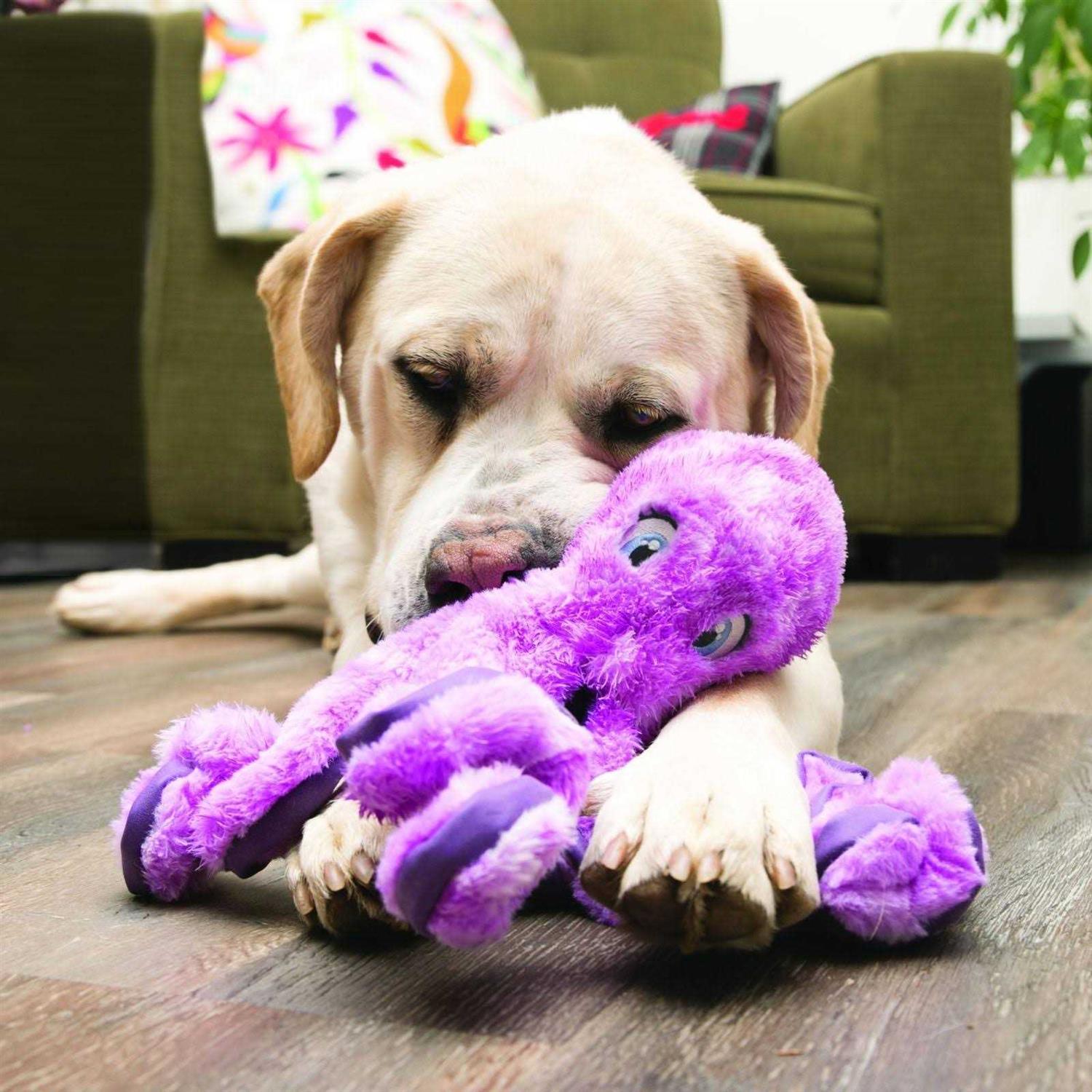 Kong SoftSeas Octopus Dog Toy