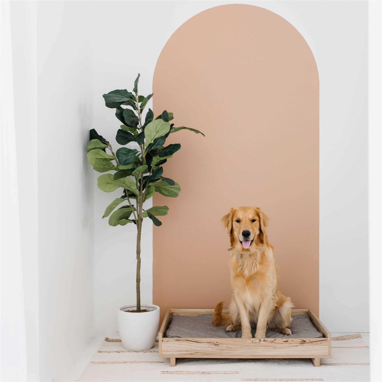 Ashley Oliah Pet Bed Frame