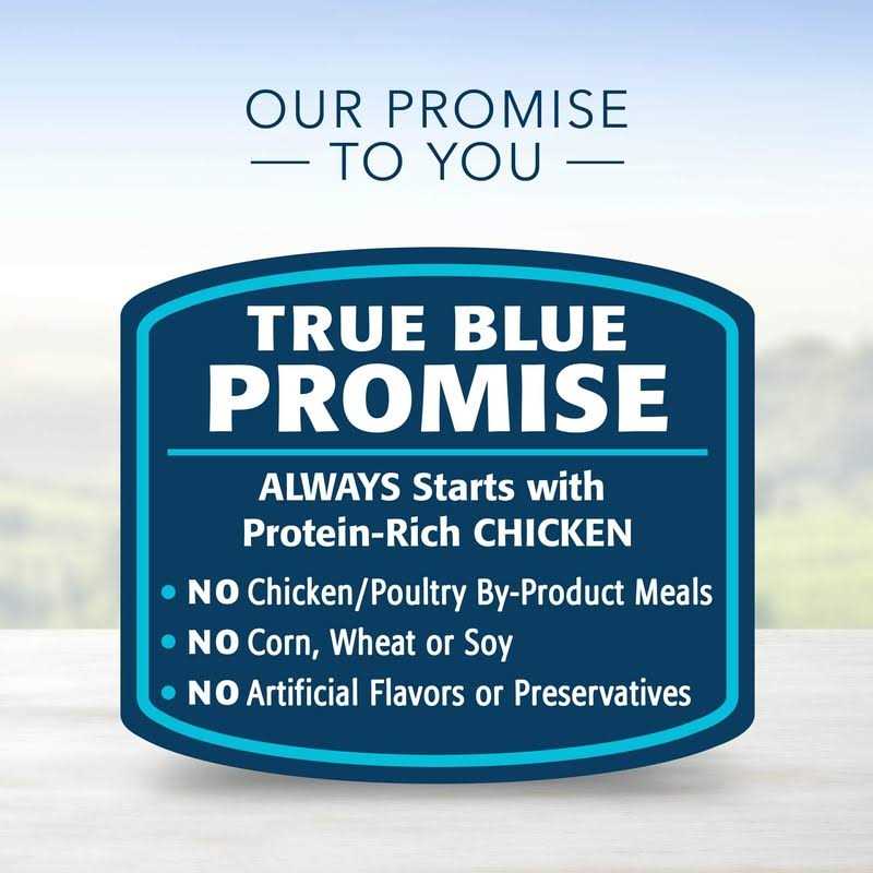 Blue Buffalo Homestyle Recipe Senior Dog Food Chicken Dinner