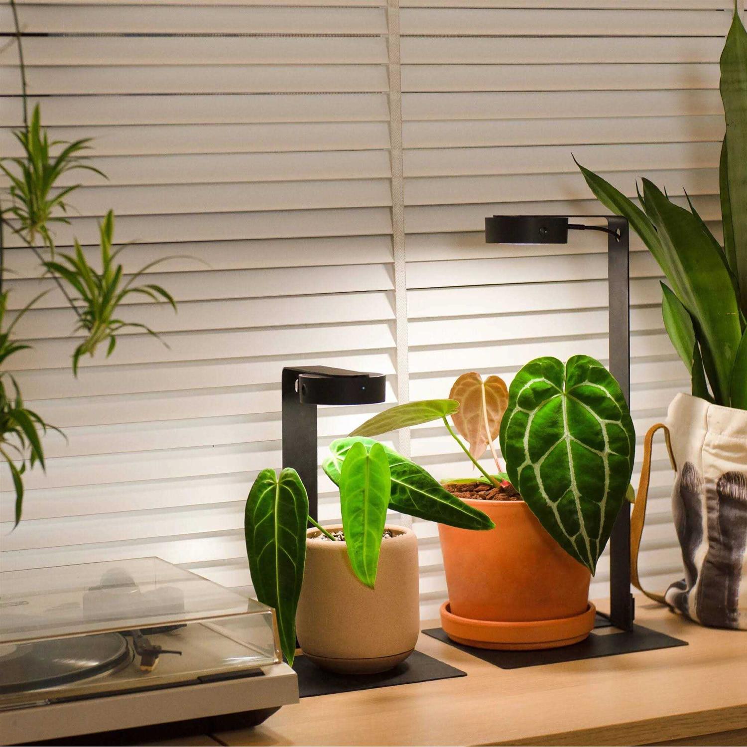 ONF Mist O Shelf Magnetic Light Colorfull LED for Indoor Plant Growth-Promoting