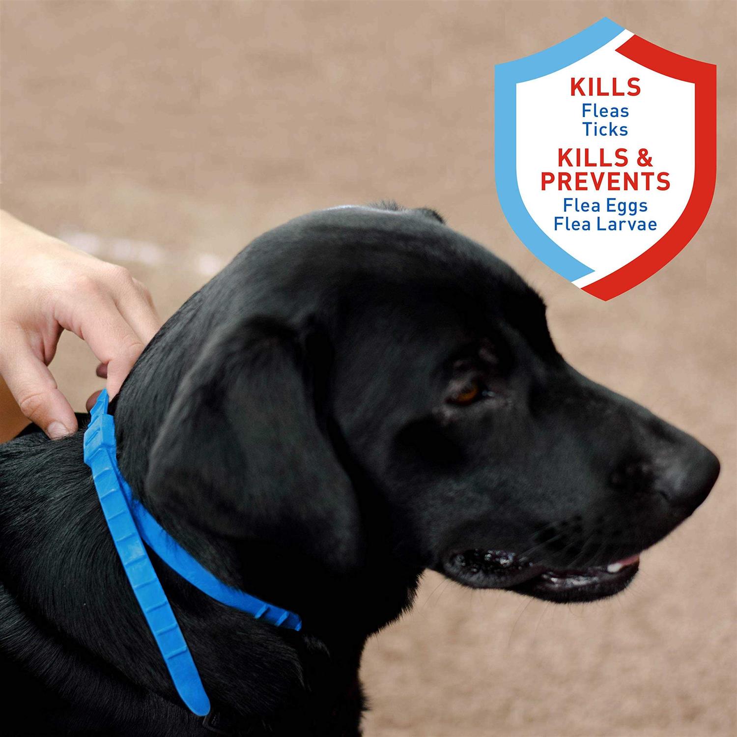 Adams Flea and Tick Collar For Dogs