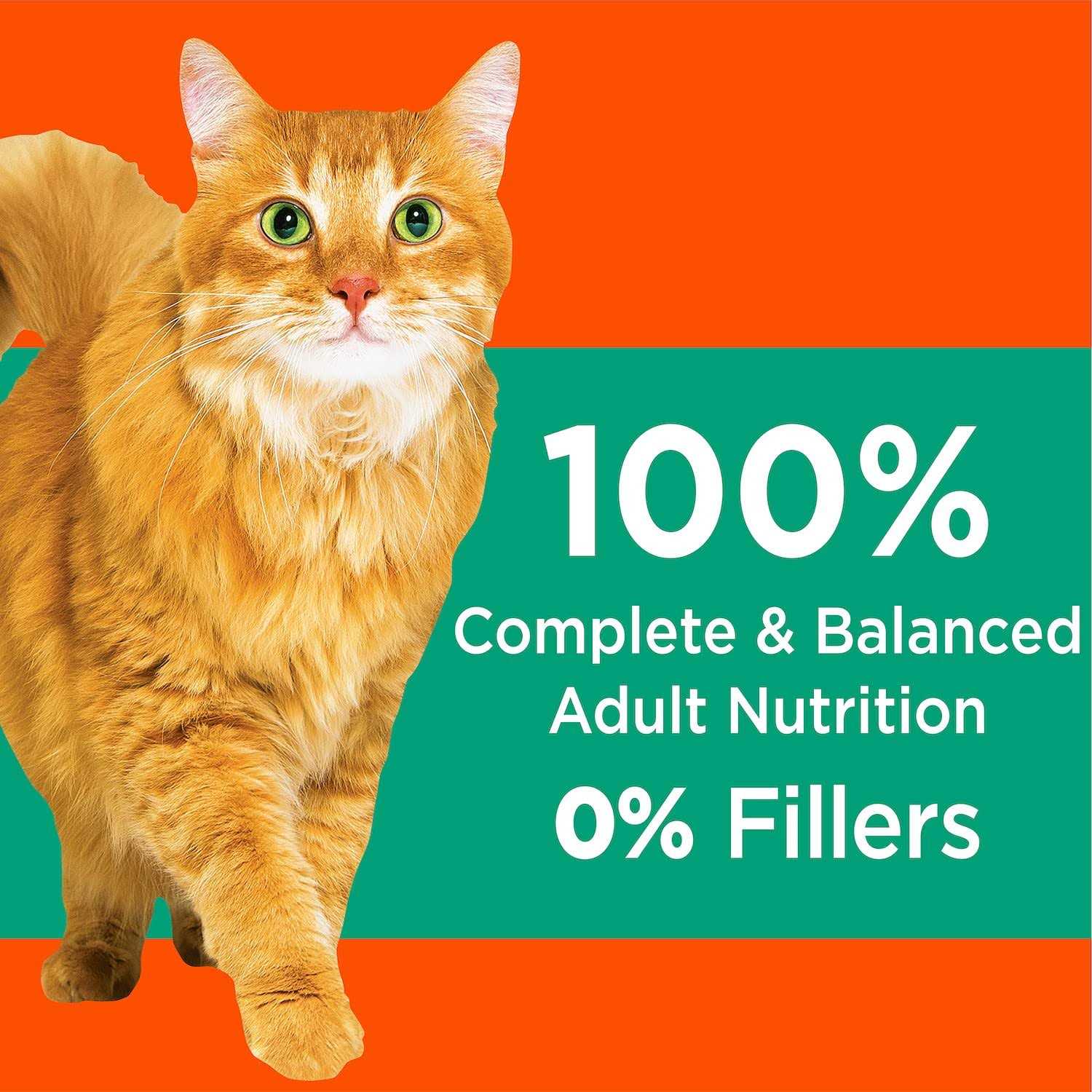 IAMS ProActive Health Hairball Care Adult Cat Dry Food