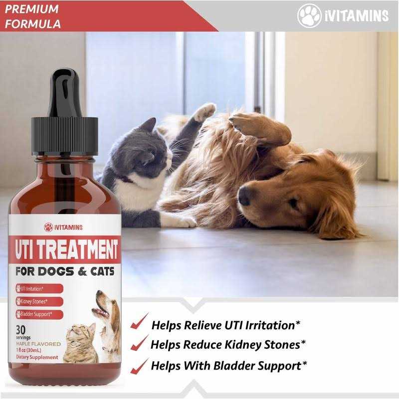 iVitamins Dog UTI Treatment Cat UTI Medicine Pumpkin for Dogs Cranberry Supplement for Dogs