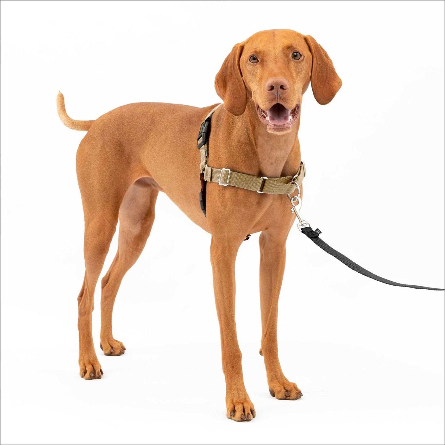 PetSafe Easy Walk Dog Harness