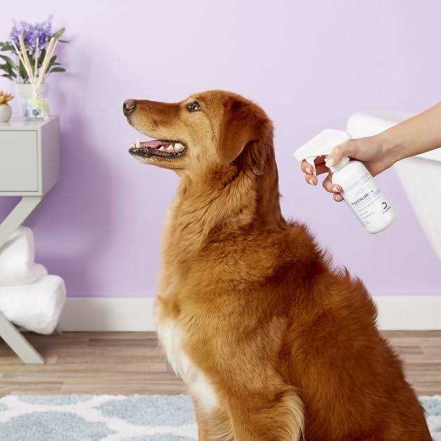 TrizCHLOR 4 Spray Conditioner