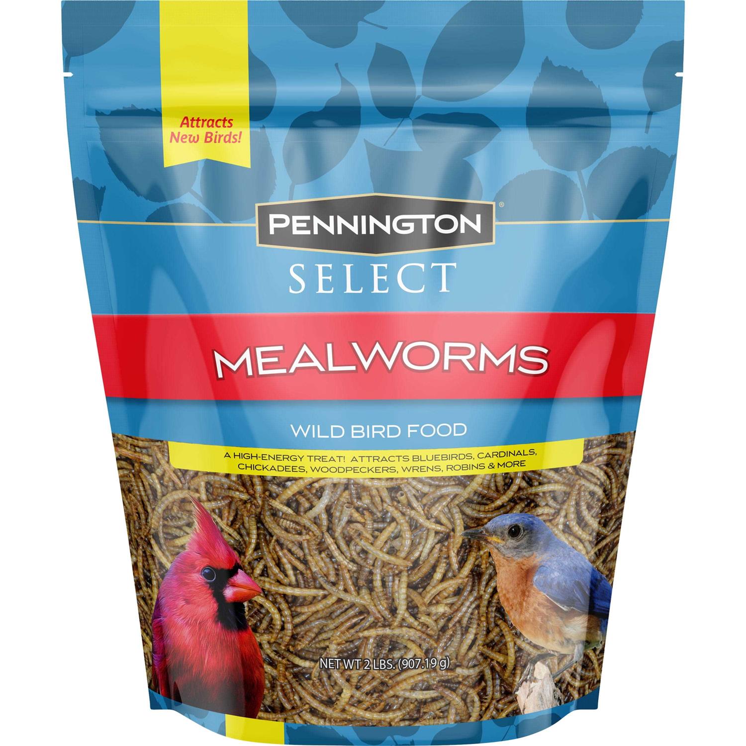 Pennington Mealworms Wild Bird Food
