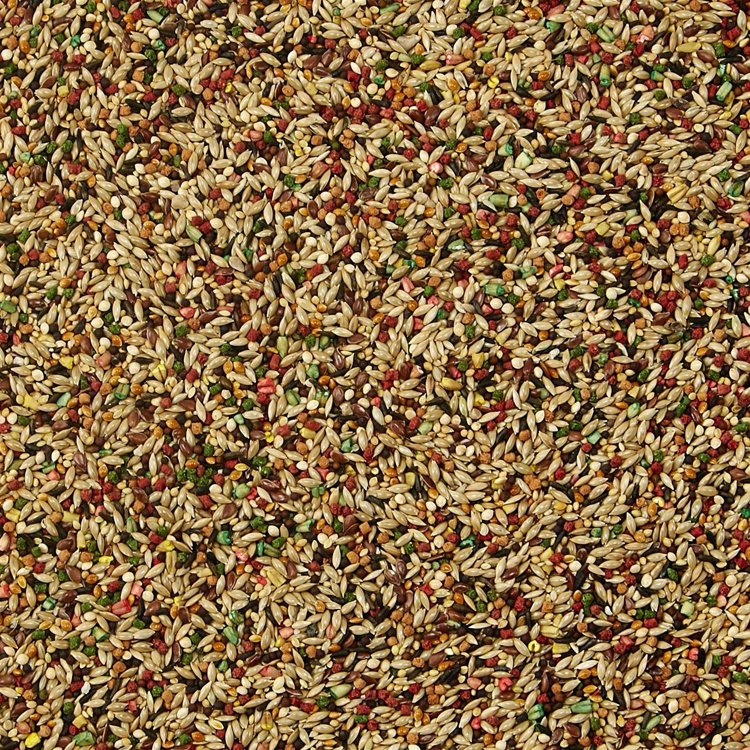 Kaytee Forti Diet Pro Health Canary Finch Food