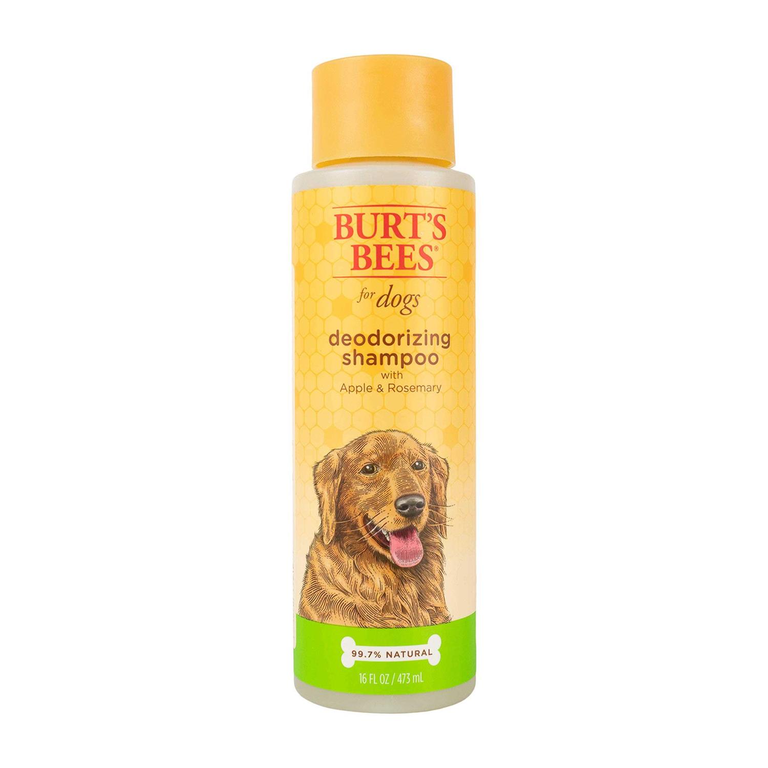 Burt’s Bees Shampoo